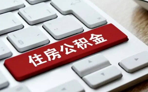 南平公积金公司交的部分怎么提取（公积金提取公司缴纳部分）